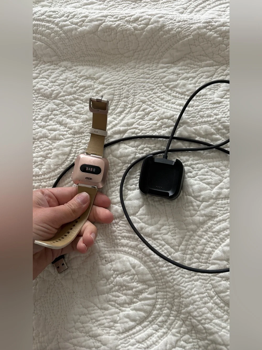 fitbit well loved